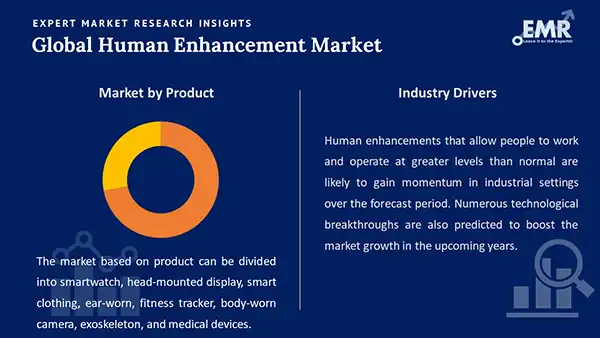 Global Human Enhancement Market by Segment