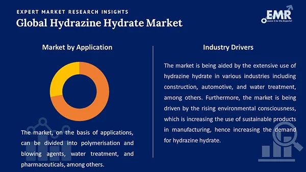 Global Hydrazine Hydrate Market by Segment