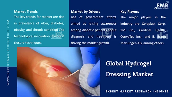 Global Hydrogel Dressing Market 