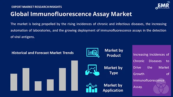 Global Immunofluorescence Assay Market By Segment