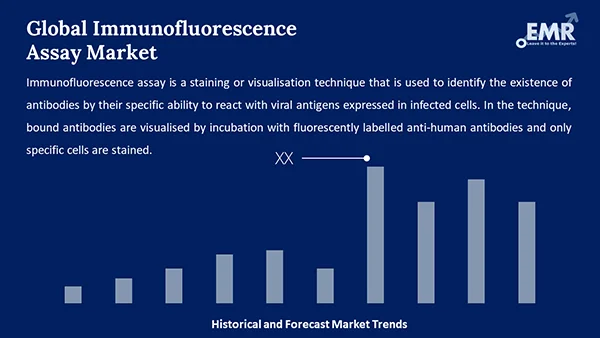Global Immunofluorescence Assay Market