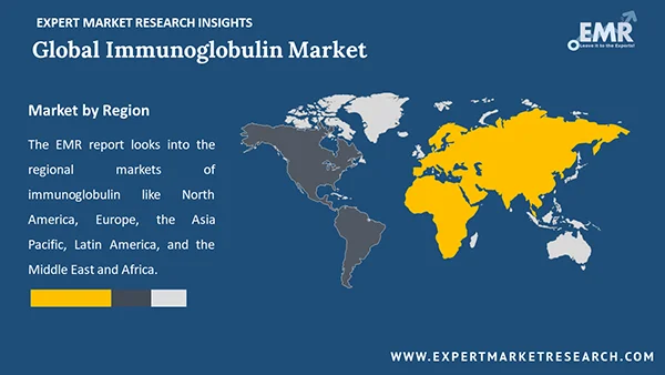 Global Immunoglobulin Market by Region