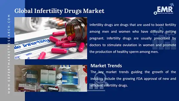 Global Infertility Drugs Market 