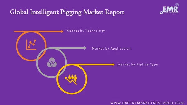 Global Intelligent Pigging Market by Segments