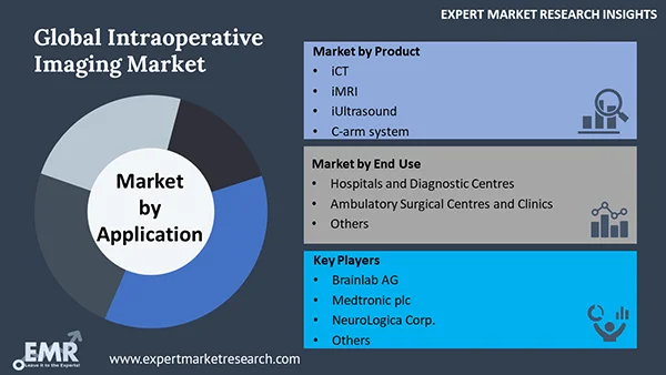 Global Intraoperative Imaging Market by Segments