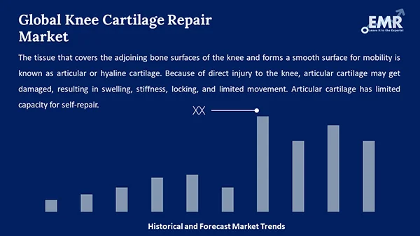 Global Knee Cartilage Repair Market