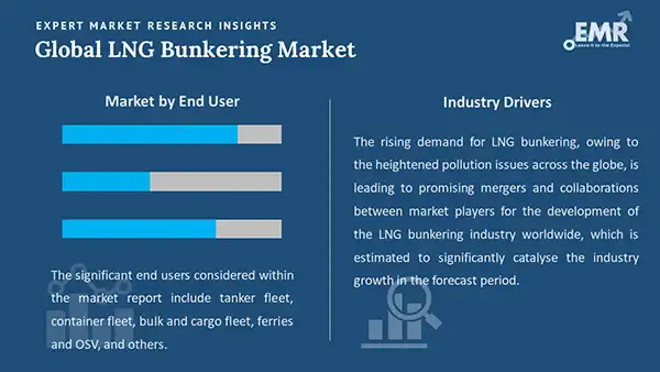 Global LNG Bunkering Market by Segment