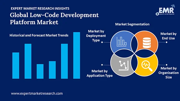 Global Low Code Development Platform Market by Segment