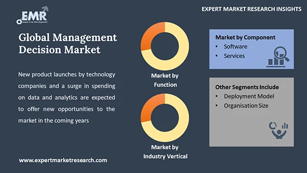Global Management Decision Market by Segment