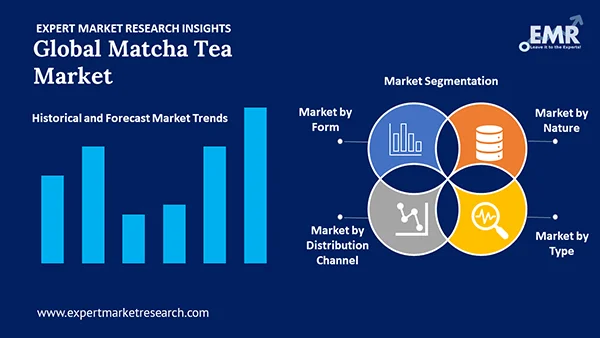 Global Matcha Tea Market by Segment