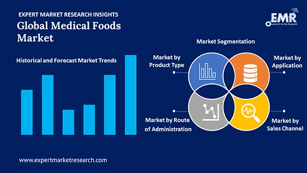 Global Medical Foods Market by Segment