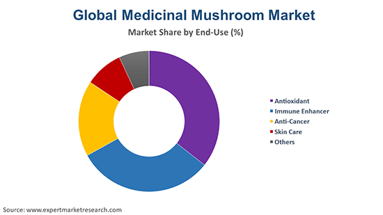 Global Medicinal Mushroom Market By End Use