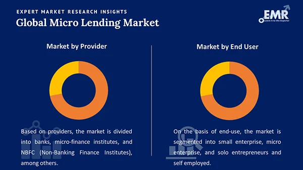 Global Micro Lending Market by Segment