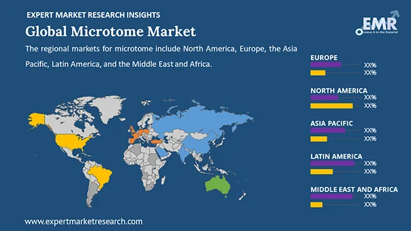 Global Microtome Market by Region