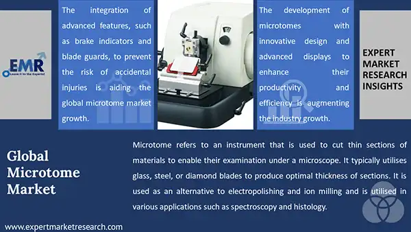 Global Microtome Market 