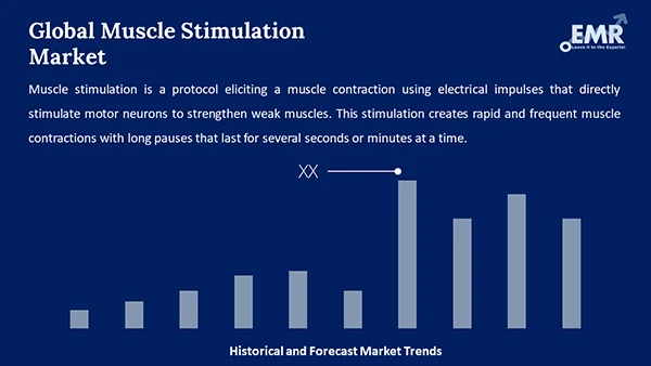 Global Muscle Stimulation Market