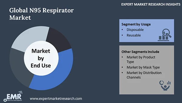 Global N95 Respirator Market by Segment