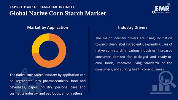 Global Native Corn Starch Market Segment