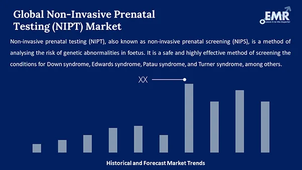 Global Non Invasive Prenatal Testing Nipt Market