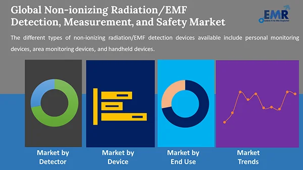 Global Non-ionizing Radiation/EMF Detection, Measurement, and Safety Market by Segment