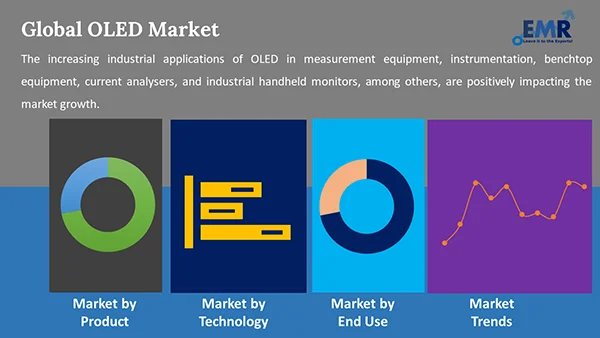 Global OLED Market by Segment