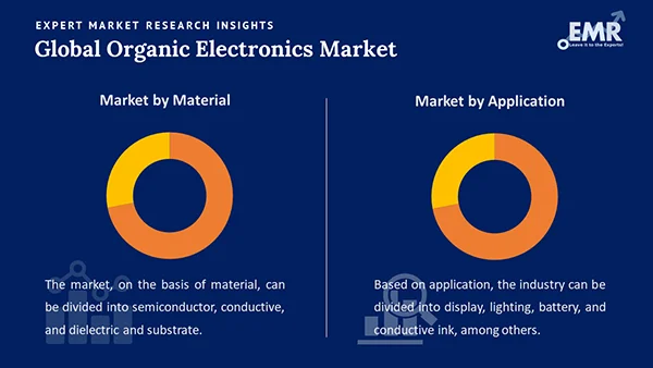 Global Organic Electronics Market by Segment