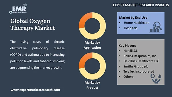 Global Oxygen Therapy Market by Segment