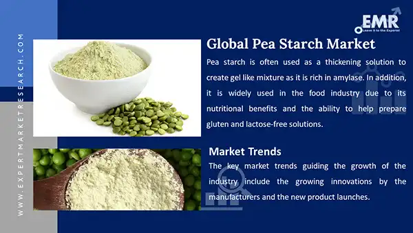 Global Pea Starch Market
