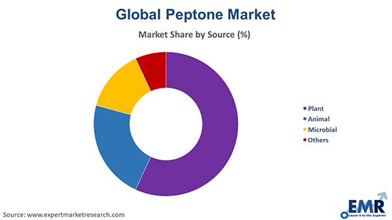 Peptone Market by Source