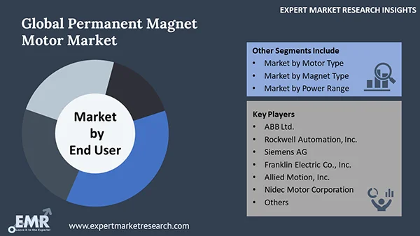 Global Permanent Magnet Motor Market by Segment