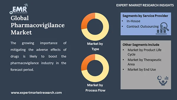 Global Pharmacovigilance Market  by Segment