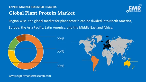 Global Plant Protein Market by Region