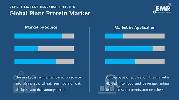 Global Plant Protein Market by Segment