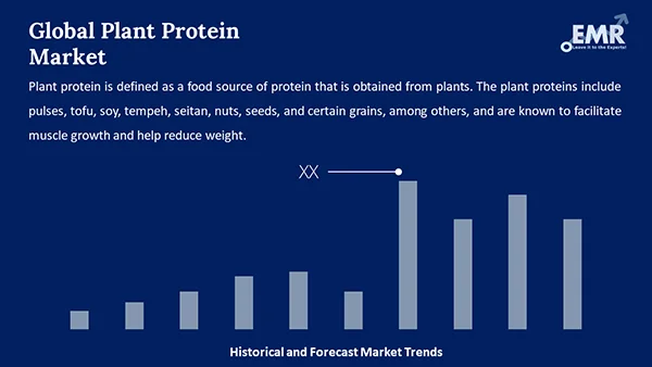 Global Plant Protein Market