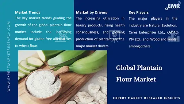 Global Plantain Flour Market