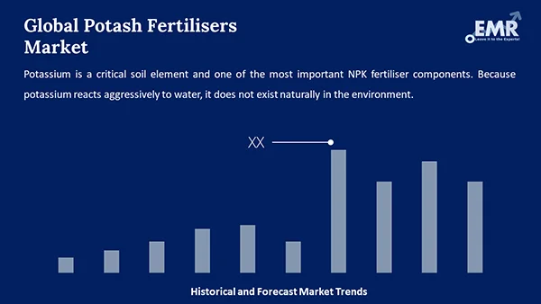 Global Potash Fertilisers Market