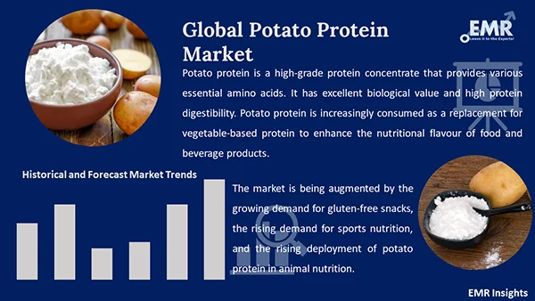 Global Potato Protein Market