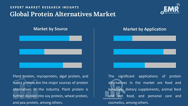 Global Protein Alternatives Market by Segment