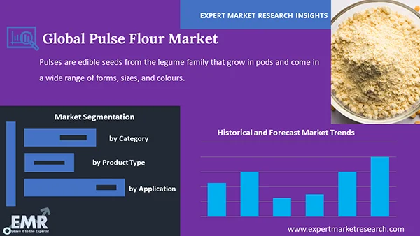 Global Pulse Flour Market by Segment