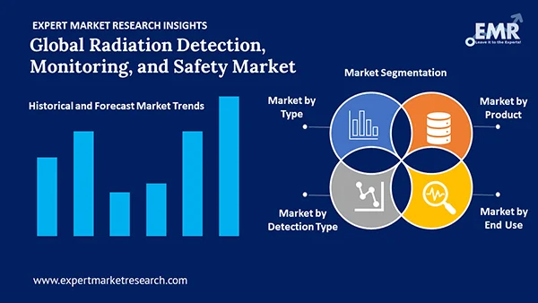 Global Radiation Detection, Monitoring, and Safety Market Segment
