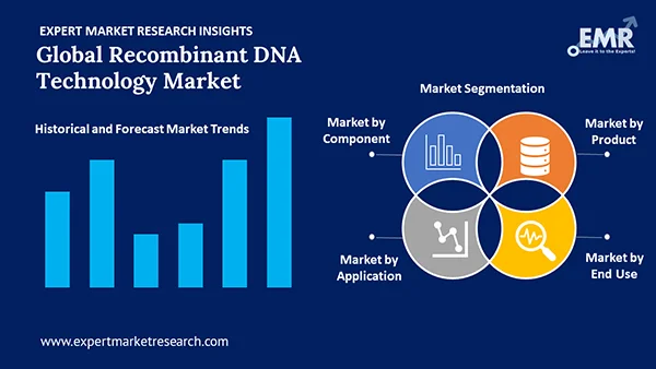 Global Recombinant DNA Technology Market by Segment