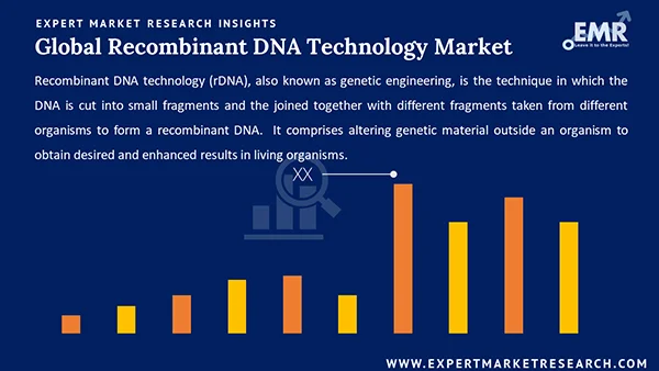 Global Recombinant DNA Technology Market