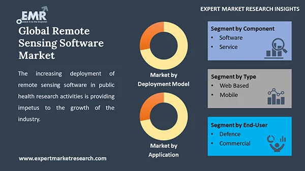 Global Remote Sensing Software Market by Segment