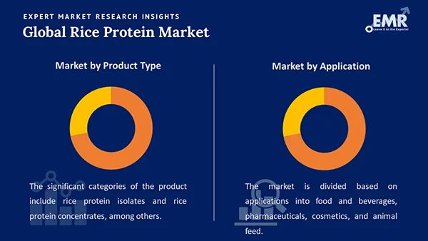 Global Rice Protein Market by Segment