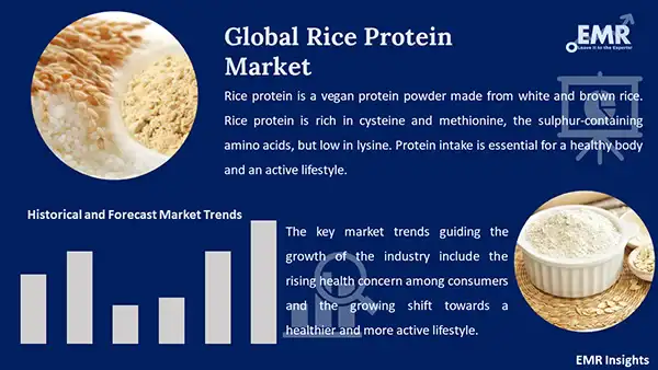 Global Rice Protein Market