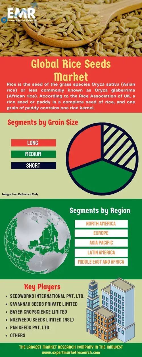 Global Rice Seeds Market 