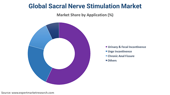 Global Sacral Nerve Stimulation Market By Application