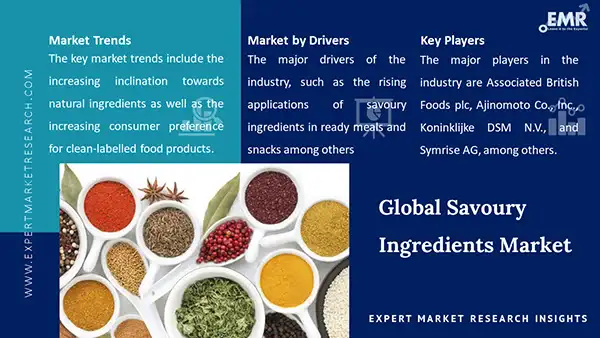 Global Savoury Ingredients Market