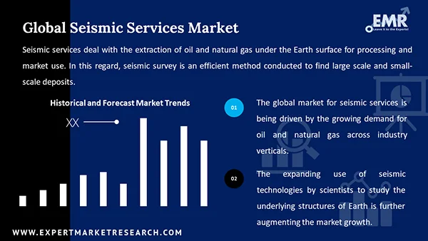 Global Seismic Services Market