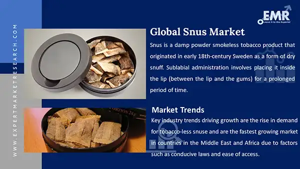 Global Snus Market